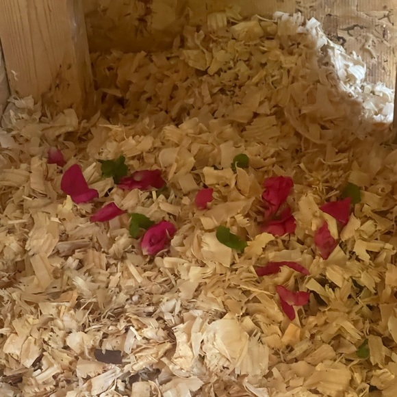 Chicken Coop Nesting Box Bedding potpourri - Picture 2 of 5